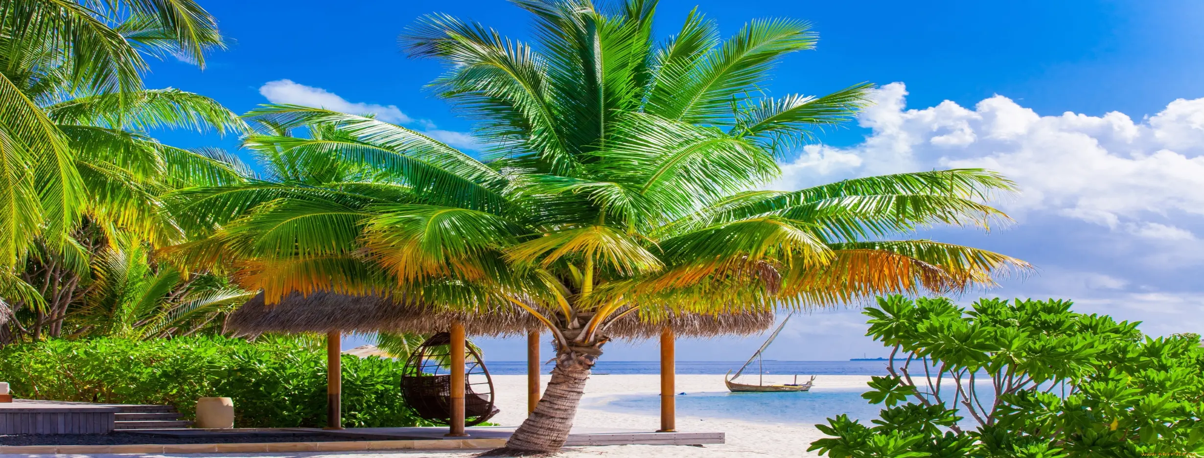 Image for Tropical Paradise